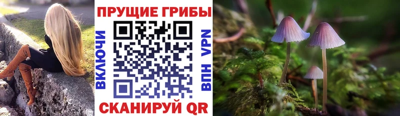 Купить где  Сольвычегодск  Псилоцибиновые грибы MAGIC MUSHROOMS 