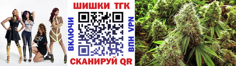 Бошки марихуана THC 21%  Купить закладки  Сольвычегодск 